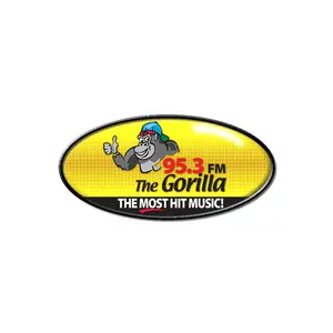 WZNF Gorilla 95.3 إف إم مركز